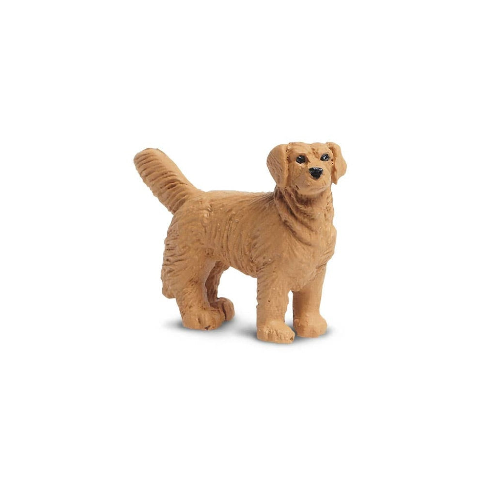 Golden Retrievers - Good Luck Minis®