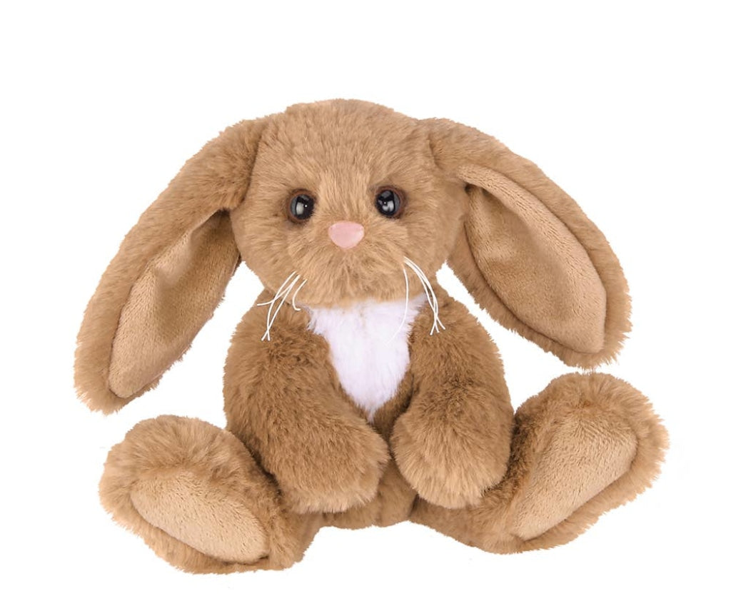 Lil Benny The Brown Bunny