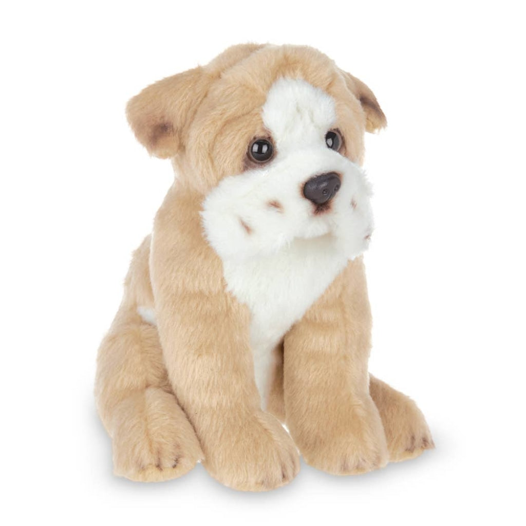 Lil Tug The Bulldog