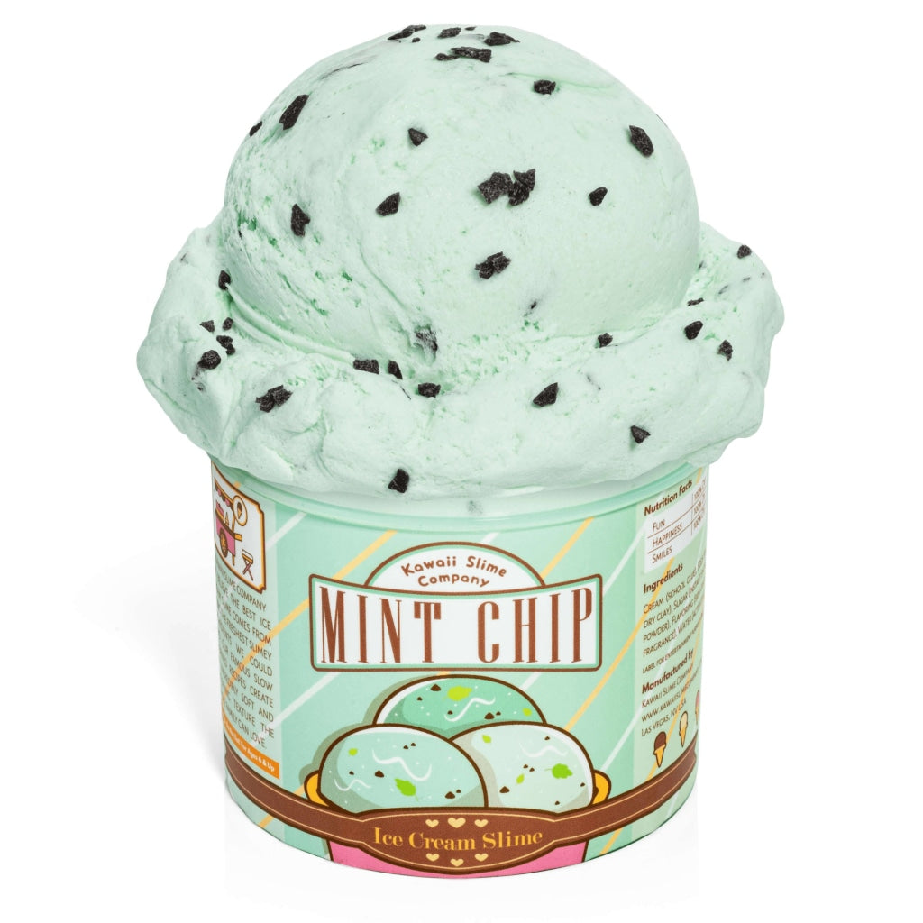 Mint Chip Scented Ice Cream Pint Slime Slime