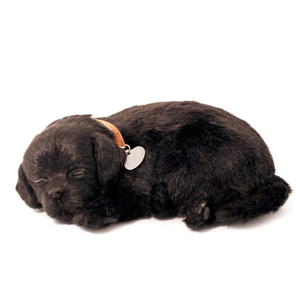 Perfect Petzzz Black Lab Toys