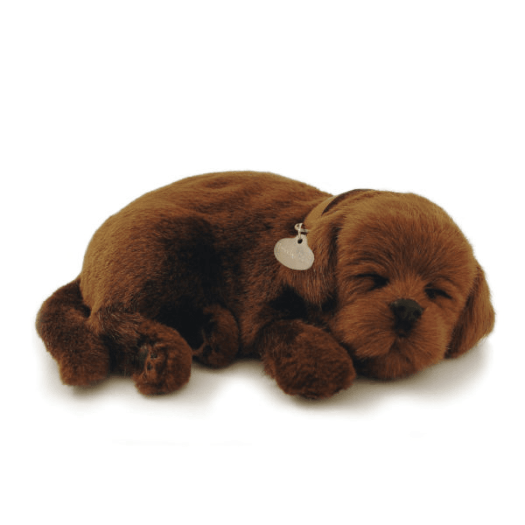 Perfect Petzzz Chocolate Lab Toys