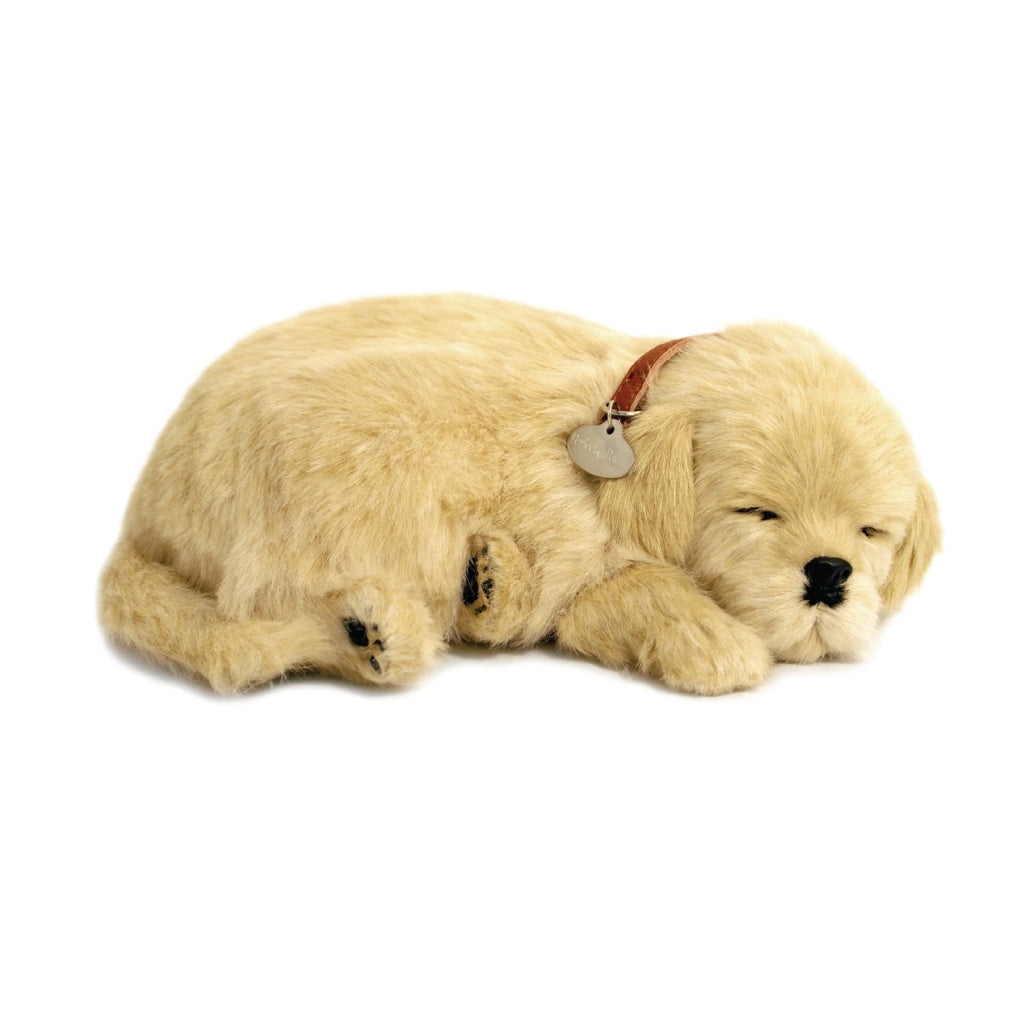 Perfect Petzzz Golden Retriever Toys