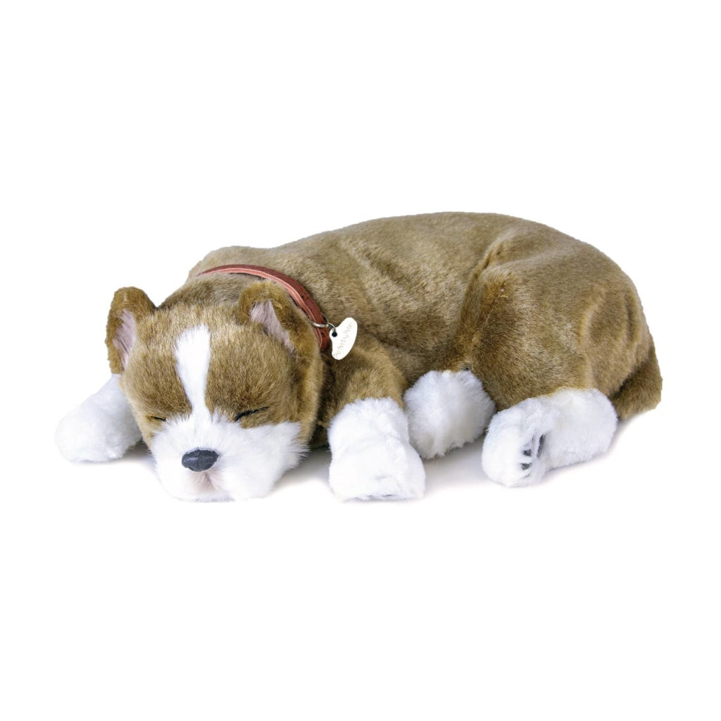 Perfect Petzzz Pit Bull Toys