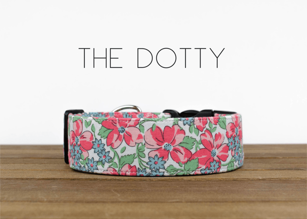 The Dotty