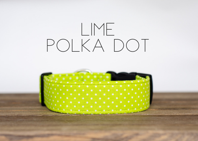 Lime Polka Dot Large
