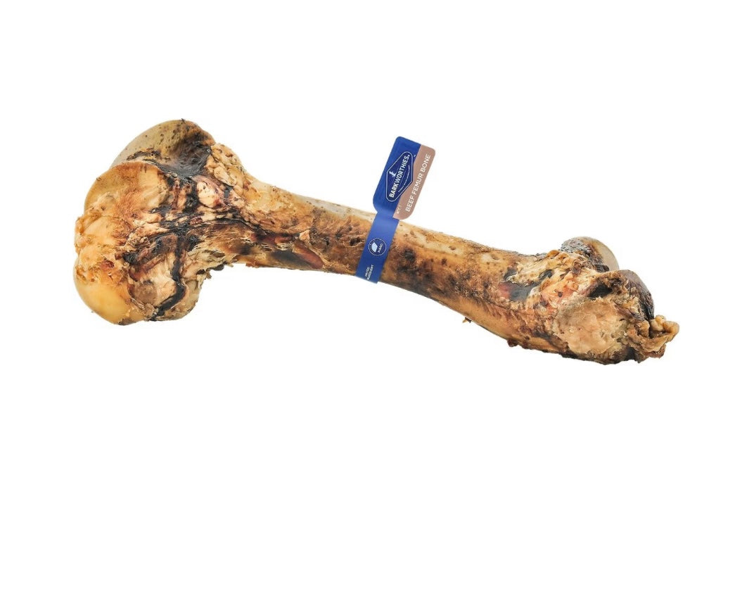 Barkworthies Beef Femur Bone