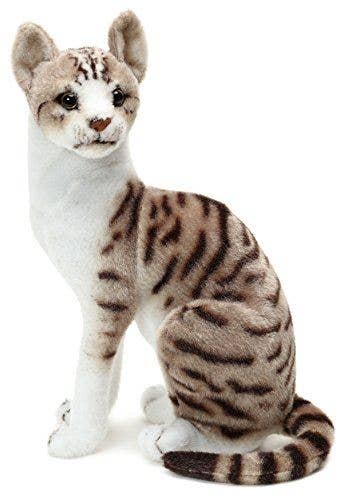Amy the American Shorthair Cat Stuffed Animal Plush