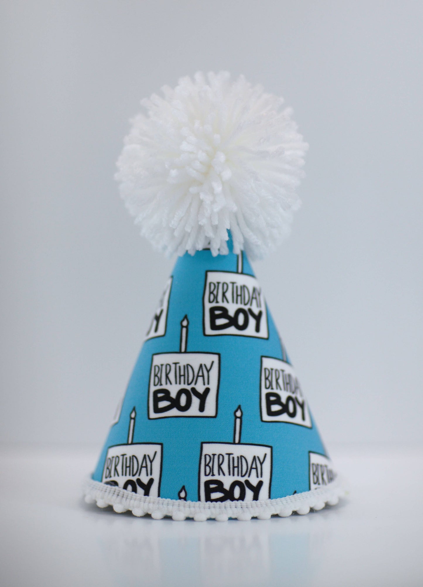 Birthday Boy Dog Party Hat