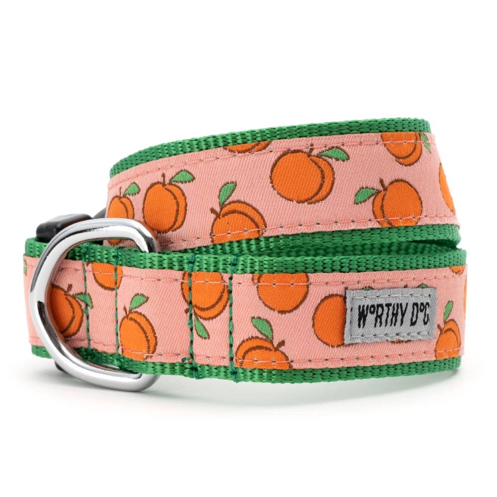 Peachy Keen Collar