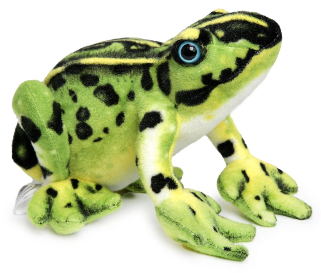 Frisco The Frog Poison Dart Tree Toad Stuffed Animal Plush