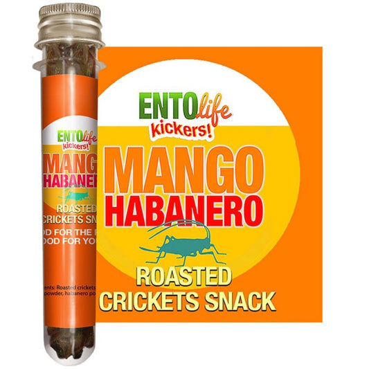 Mini-Kickers Flavored Cricket Snacks - Mango Habanaro Candy & Chocolate