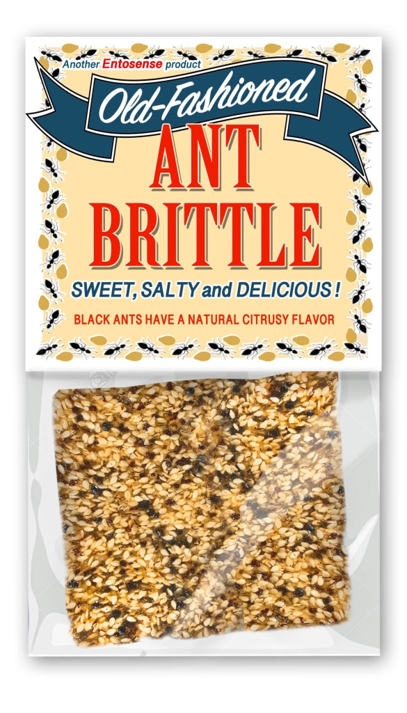 Old Fashioned Ant Brittle Ants