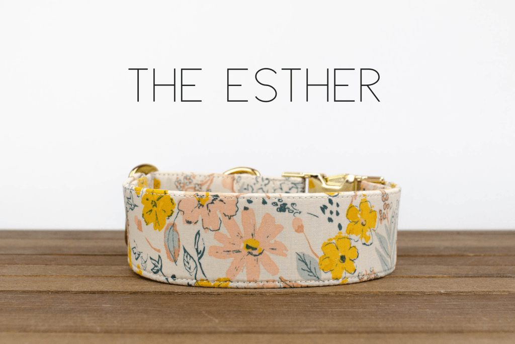 The Esther